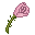 Pink Rose Hat (ID 899)