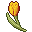 Orange Tulip(ID 674) Admiration