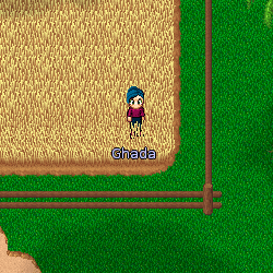 Trouvez et parlez à Ghada (Coordonnées: 029-1, 79, 99) Ghada est caché dans le champ de Valon.