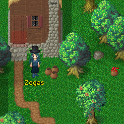 Zegas