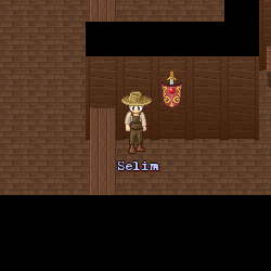 Selim The Dyer In The Mana World.
