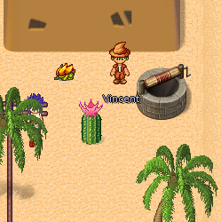 Vincent In The Mana World.