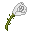 White Rose Hat (ID 898)