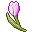 Pink Tulip(ID 673) Gratitude