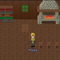 Thumbnail for version as of 03:33, 6 February 2021