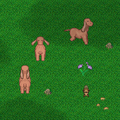 Thumbnail for version as of 16:44, 10 February 2013