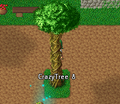 Thumbnail for version as of 14:11, 2 February 2015