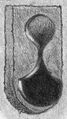 General purpose window