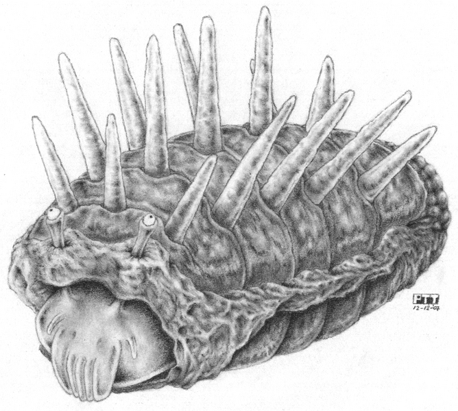 File:Creature-spiky slime.png