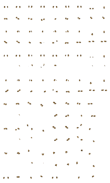 File:Bromenalgloves-female.png
