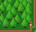 Thumbnail for version as of 21:53, 17 March 2006