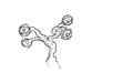 Thumbnail for version as of 02:27, 20 September 2009