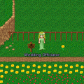 Thumbnail for version as of 22:41, 30 January 2011