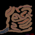 Thumbnail for version as of 12:54, 21 January 2015