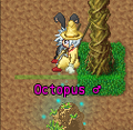 Thumbnail for version as of 08:46, 15 March 2015