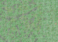 Thumbnail for version as of 22:09, 14 May 2010