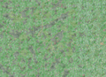 Thumbnail for version as of 19:58, 16 May 2010