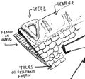 Thumbnail for version as of 15:09, 23 December 2007