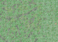 Thumbnail for version as of 20:54, 25 May 2010