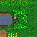 Thumbnail for version as of 08:59, 20 February 2015