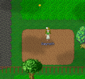 Thumbnail for version as of 14:19, 1 January 2021