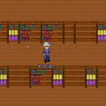 Thumbnail for version as of 00:47, 16 February 2021