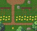 Thumbnail for version as of 13:31, 23 October 2011