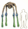 Standing frame