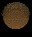 Thumbnail for version as of 18:21, 7 July 2010