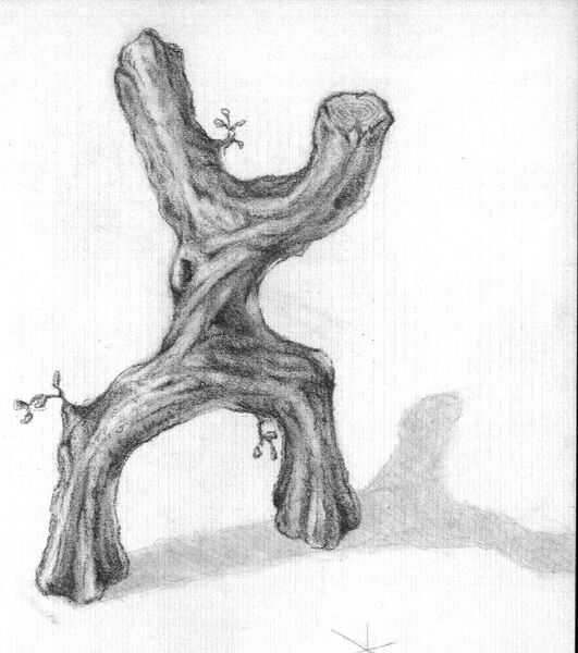 File:Creaturetree.jpg