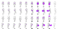 Thumbnail for version as of 09:14, 1 July 2013